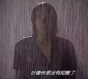 艾卡西亚暴雨表情包图片