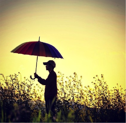 不屬於我的雨傘,我寧願淋雨走路!