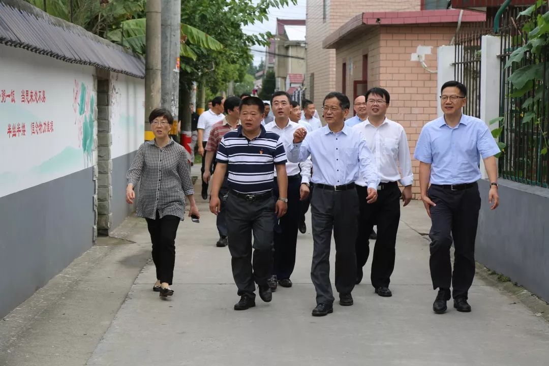 实施乡村振兴战略推进生态宜居情况如何市区人大赴曹路镇迅建村开展