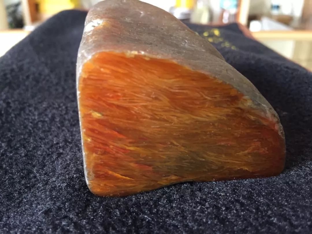 植物舍利桫椤玉是爱石者对于美好的欣然向往