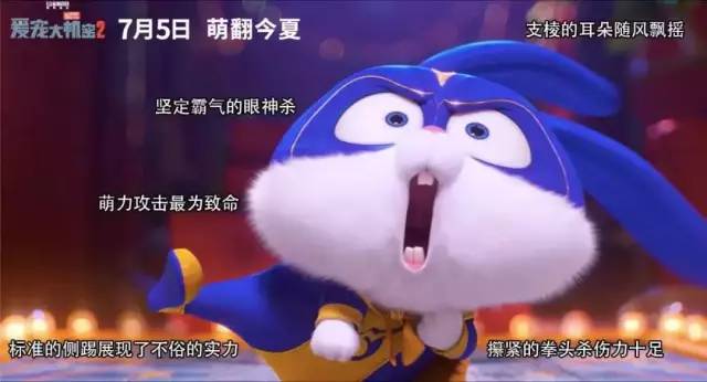卫仕x爱宠大机密2萌宠跑和ta一起萌翻今夏