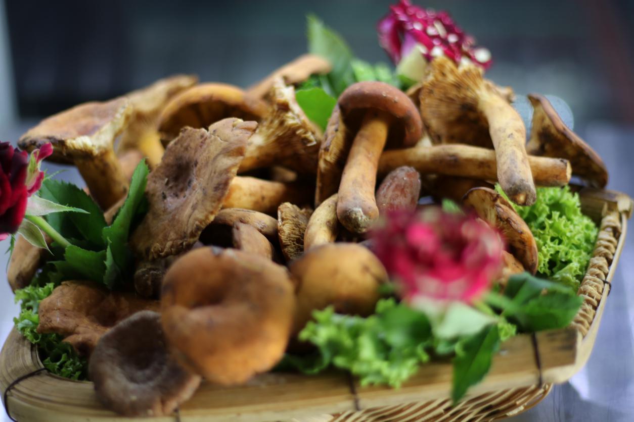 大滇园企业第十届野生菌美食节于6月14日正式开幕啦