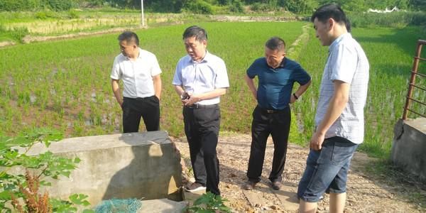 雨山区委常委,常务副区长唐杰,雨山区委办,雨山区农水局,雨山区生态