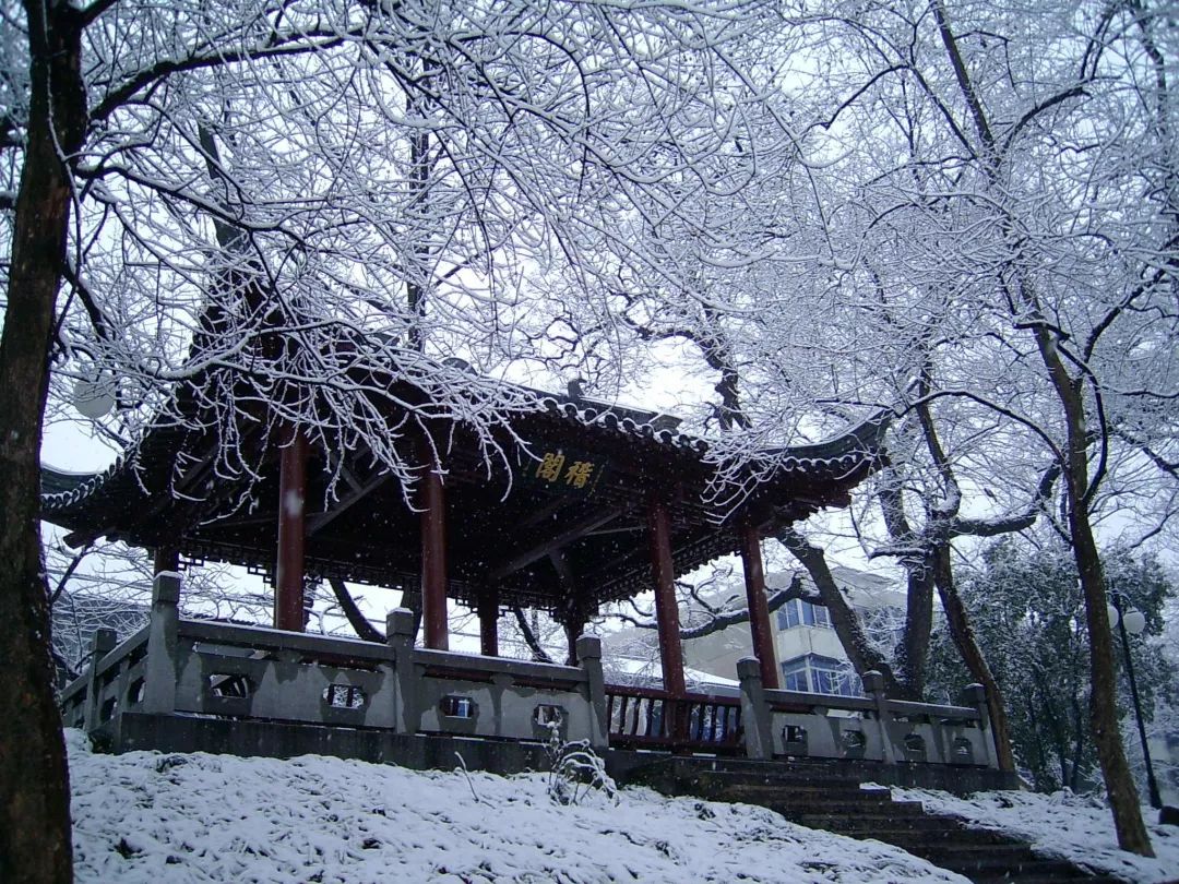 五星三名稽中三年大成人生绍兴市稽山中学欢迎你