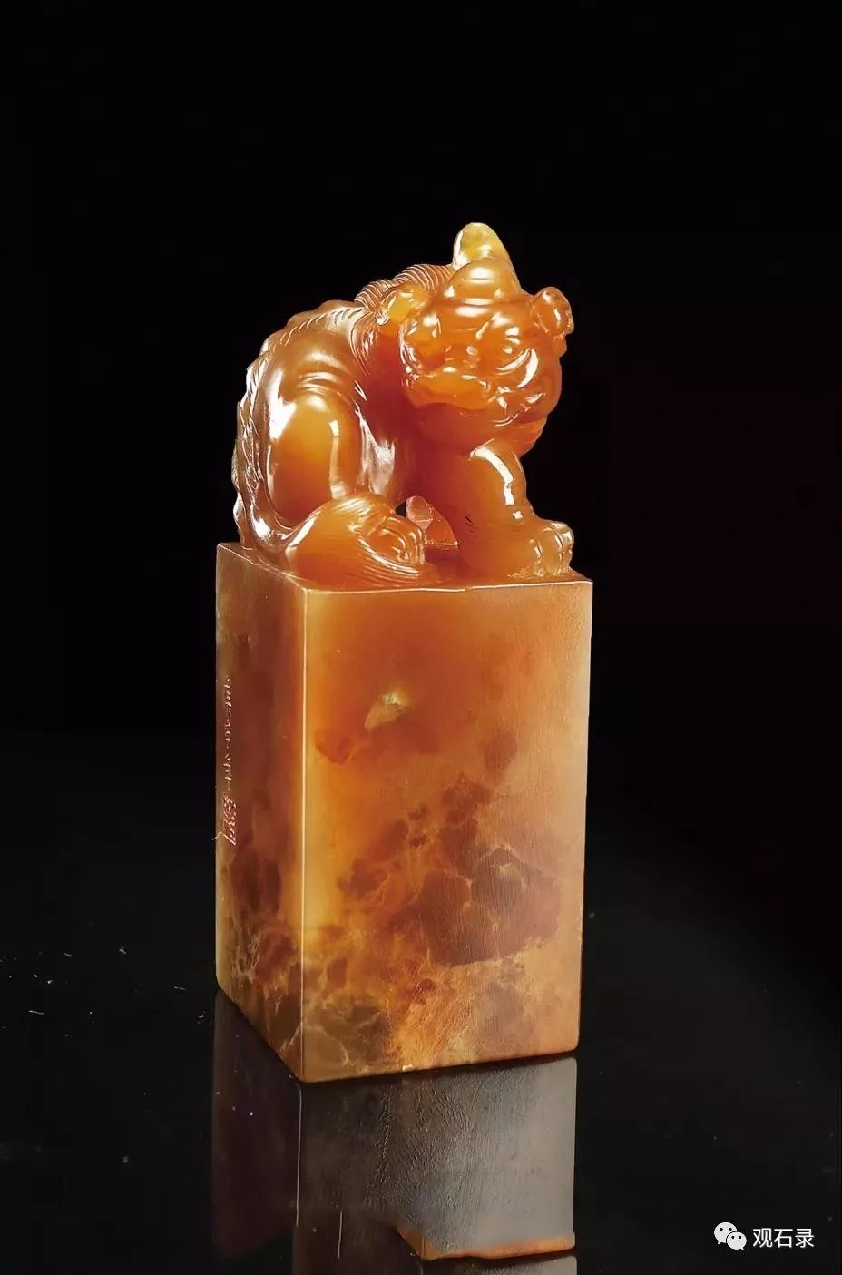 印纽之美古兽纽