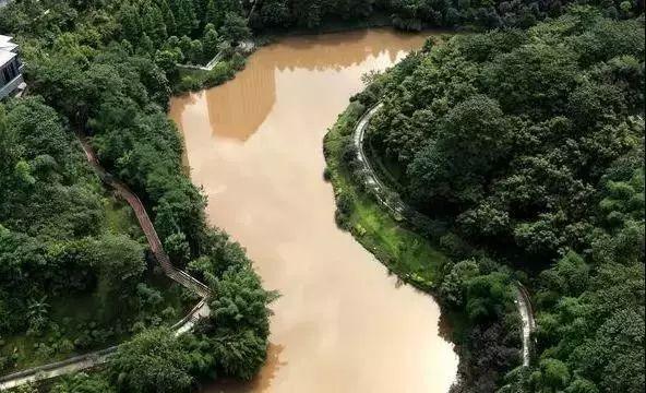江北区休闲漫步再添新去处盘溪河公园步道将于8月投用