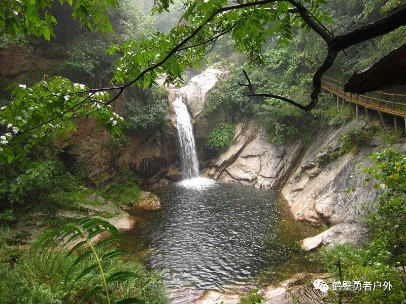 29~30日,中原最美森林度假景区