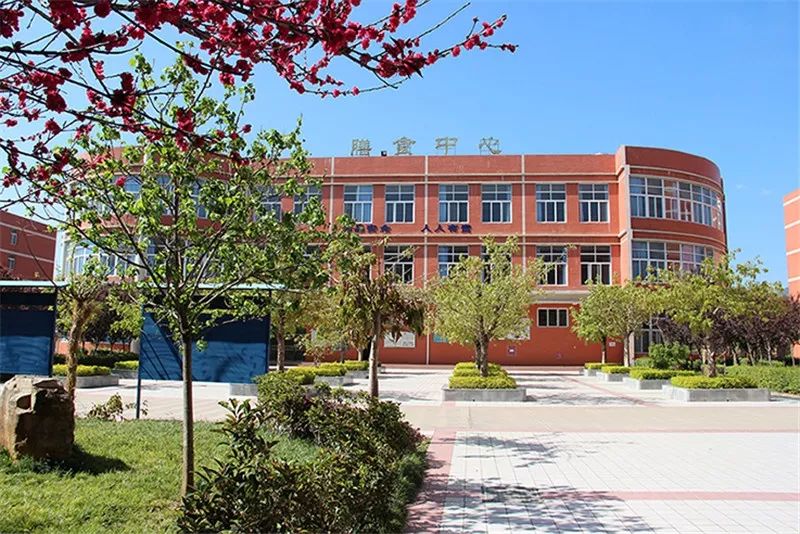 教育丨西昌现代职业技术学校以崛起之势助梦启航