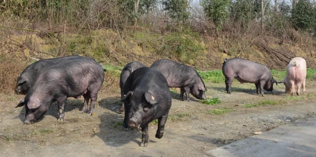 晒哈太阳,补下钙!