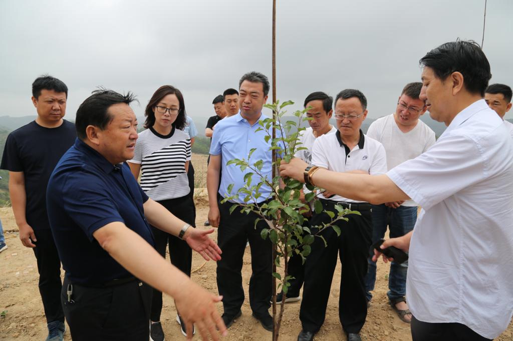 刘景堂在甘谷驿镇姚店镇调研脱贫攻坚和水污染防治工作时要求以产业