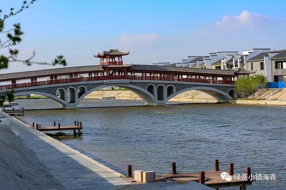 实力不凡恭喜海青镇又喜提一省级荣誉