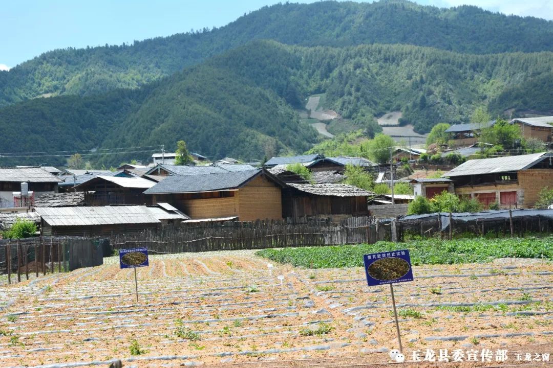 玉龙县鲁甸乡杵峰图片