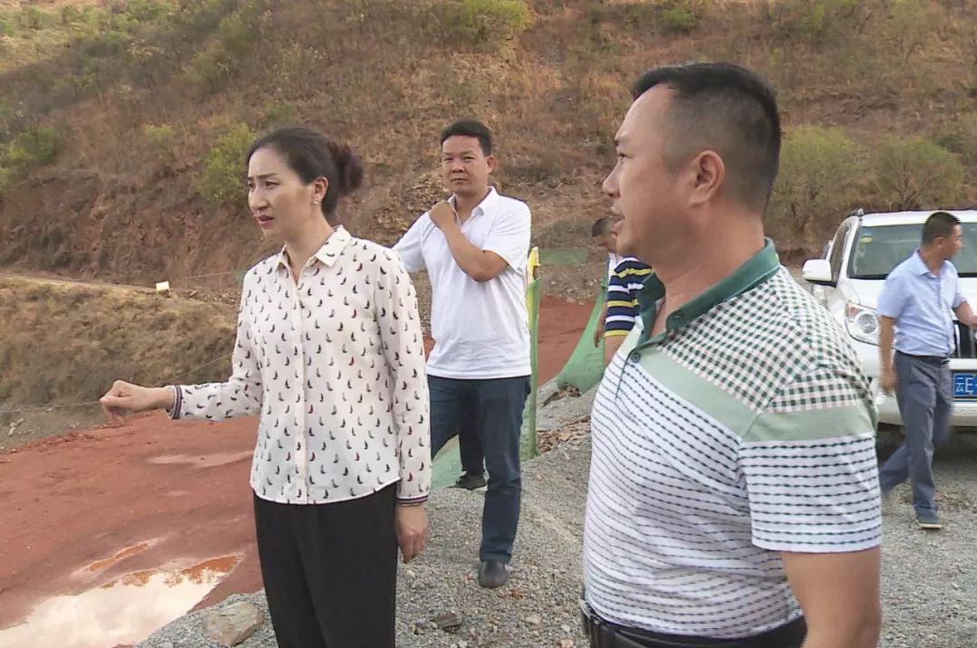 吴海芬调研防汛抗旱工作