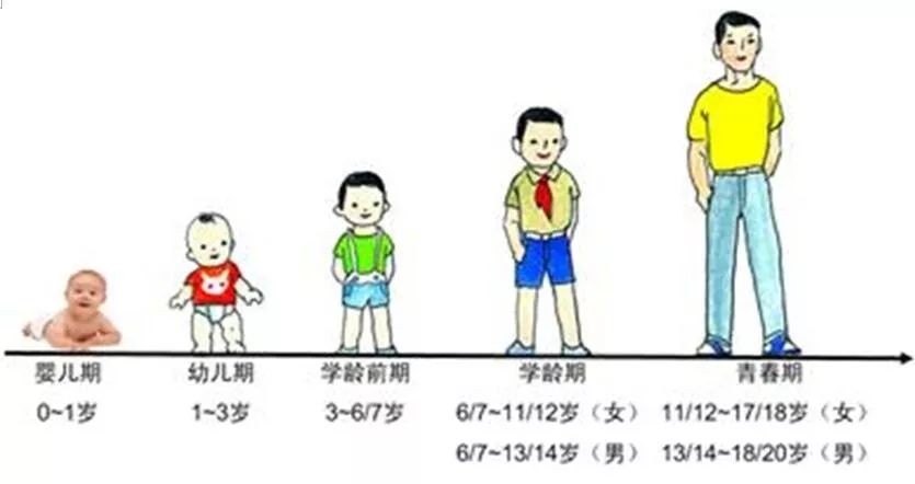 青年人是几岁到几岁 来自搜狐网