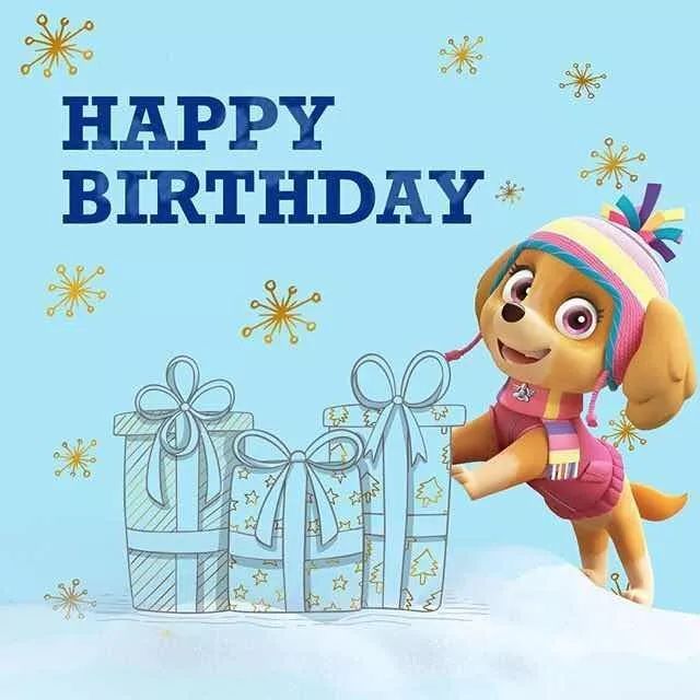 苏宁中心美吉姆汪汪队生日会开始报名啦
