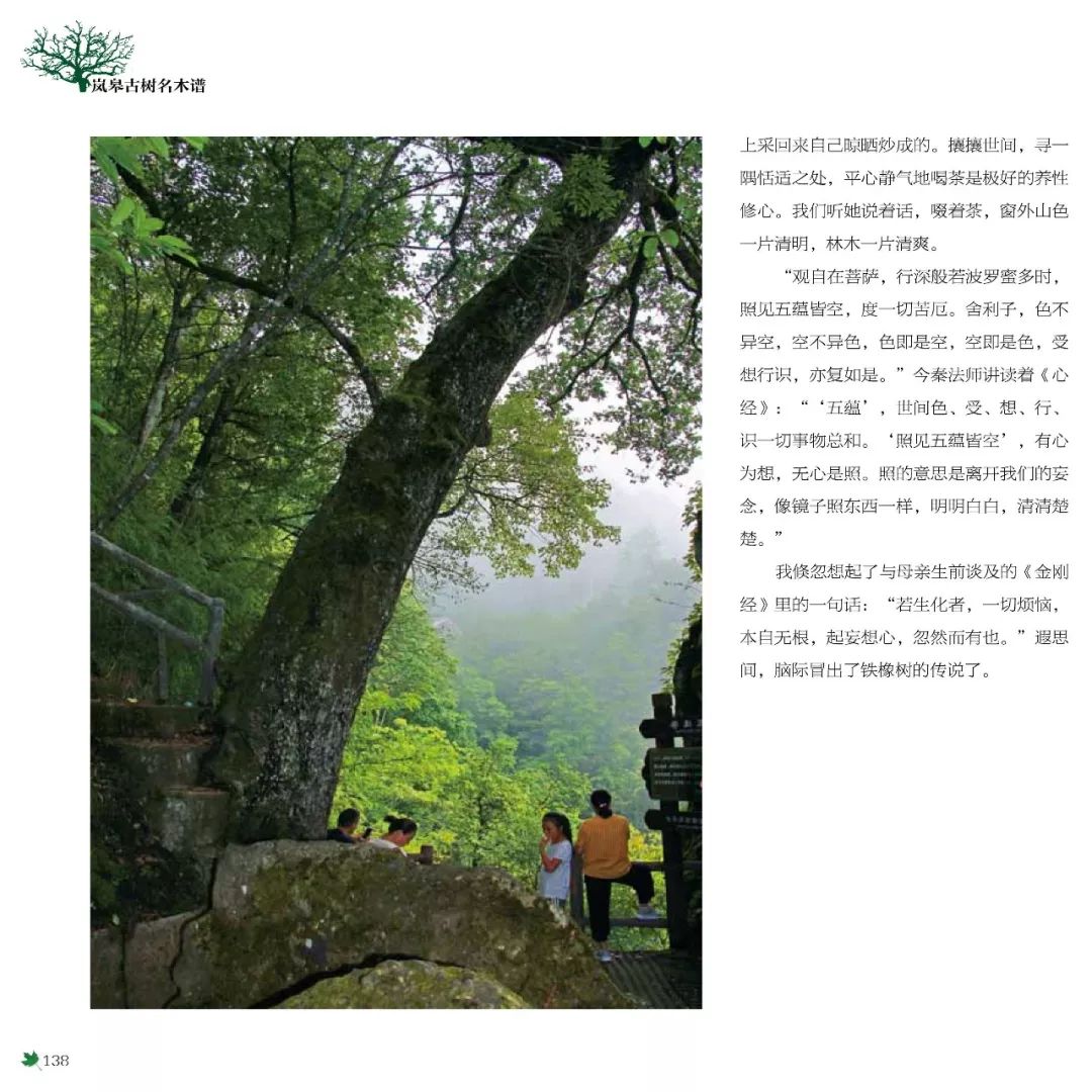 描写古树的诗词七绝,古树七绝诗,千年古树的诗句_大山谷图库