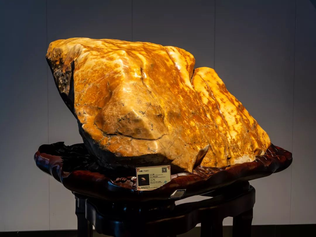 漫游常山中国观赏石博物馆珍奇宝石感知亿年