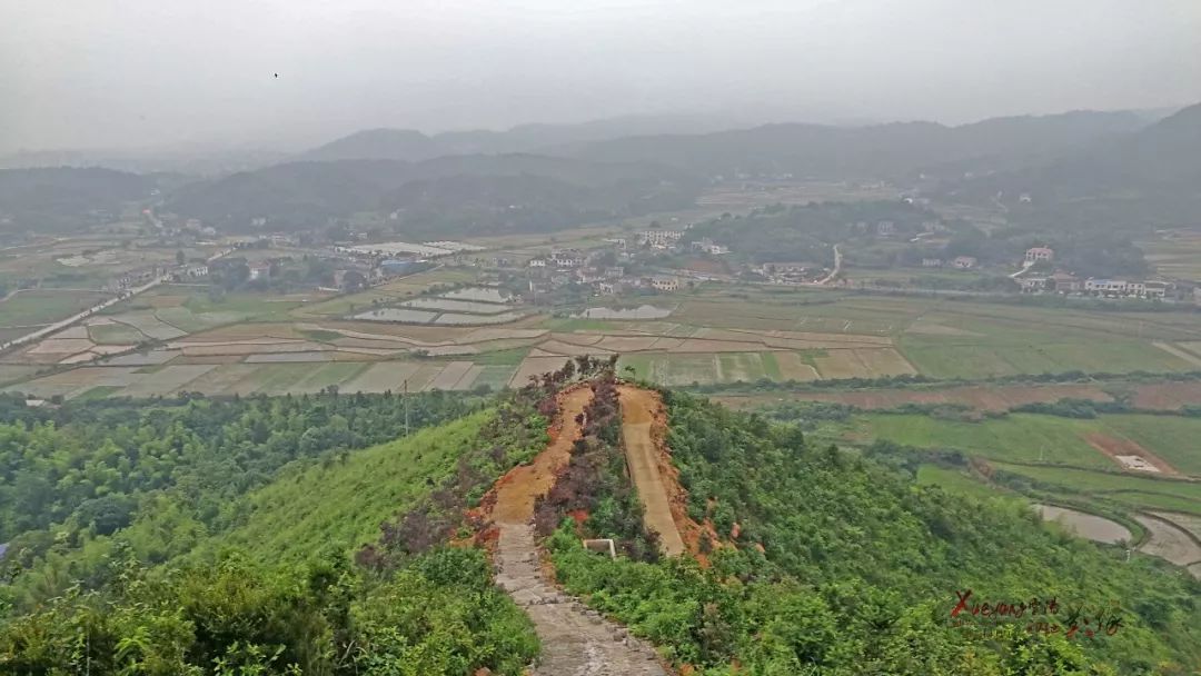 红林花海 韶山图片