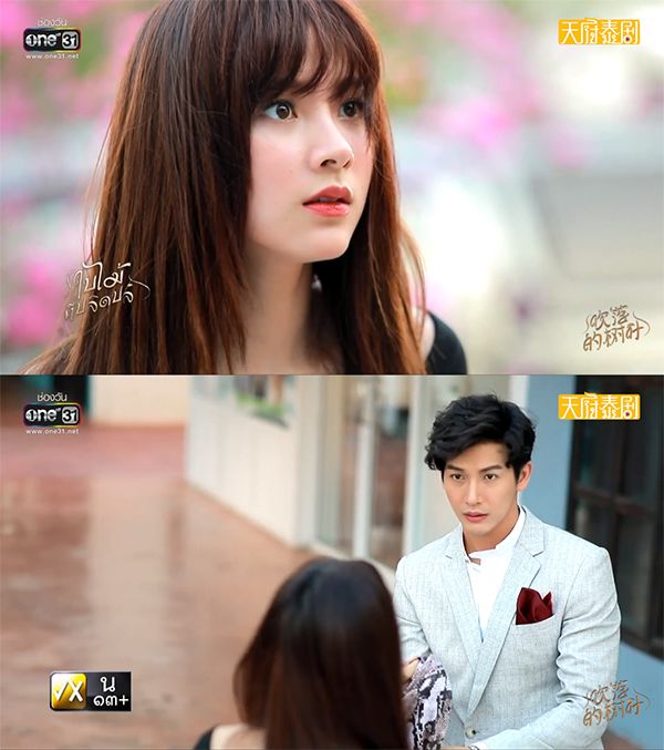 《吹落的树叶》:狗血是他人的砒霜,却是泰剧的蜜糖