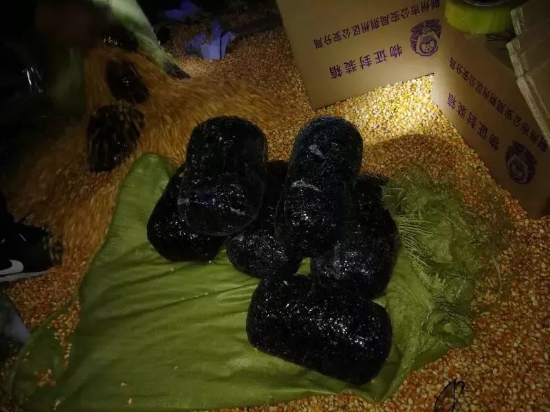 荆州真实版