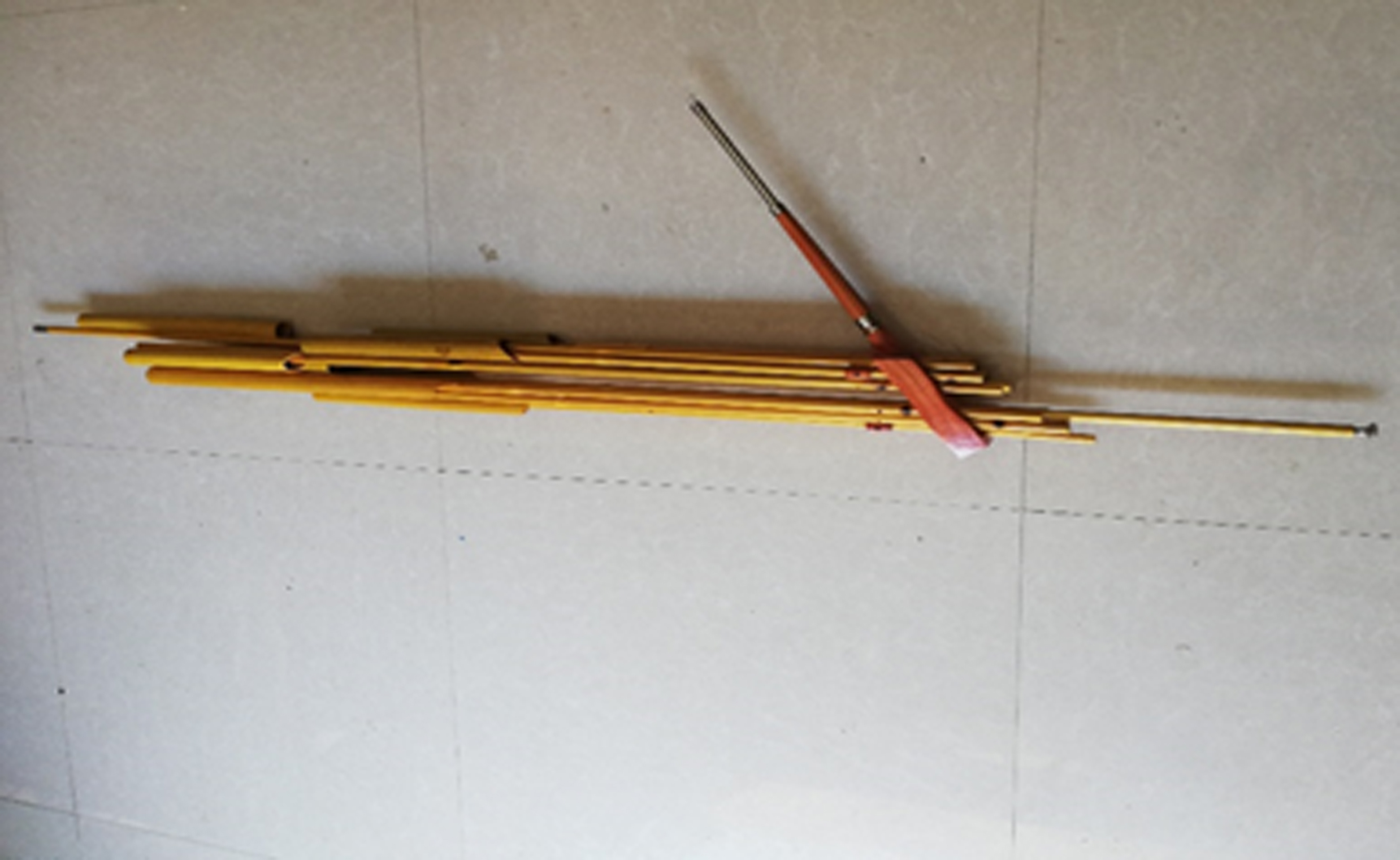 我爱我家乡文旅融合二十栽好梧桐树筑巢引凤特别推介之十八_芦笙