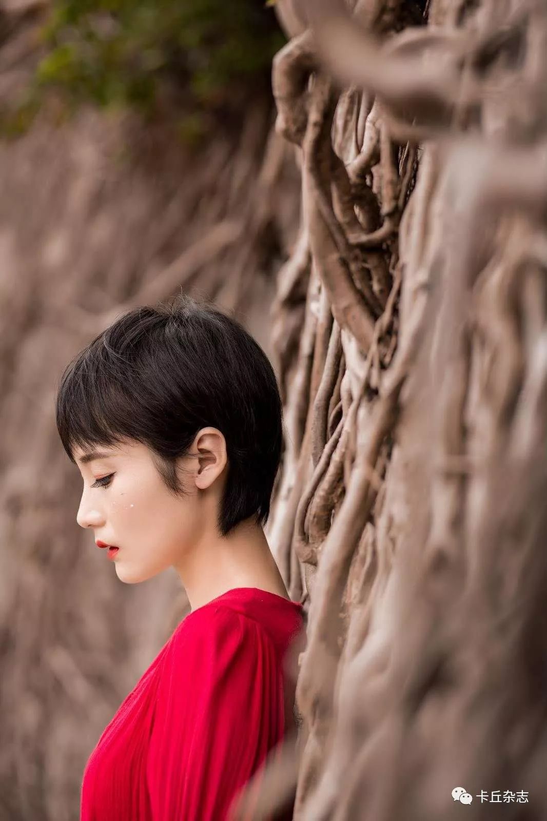 《2019年中国诗歌排行榜》:苇欢