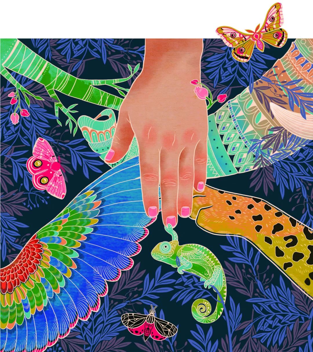 夏天鼓岭不简单李旻插画展云端音乐节等你来送票