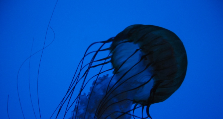 今年家电市场既要补药还要苦药-家电圈官网