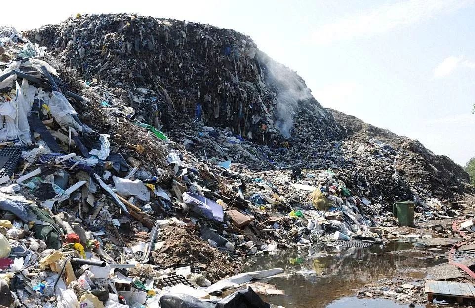 塑料垃圾的危害让人震惊,环保刻不容缓