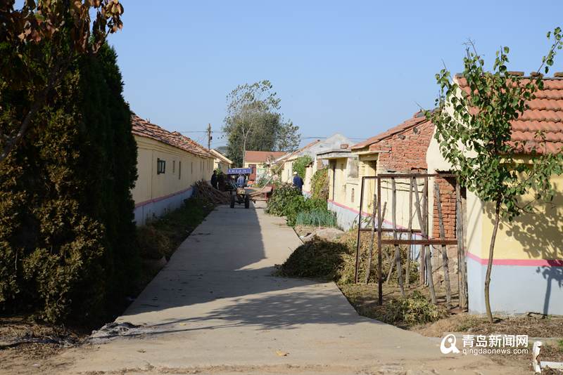 2013年10月拍摄的张家楼镇大泥沟头村原貌.