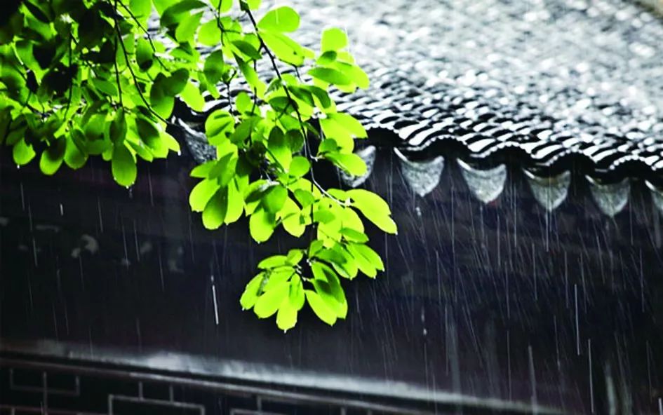 梅雨季节养生重在防湿