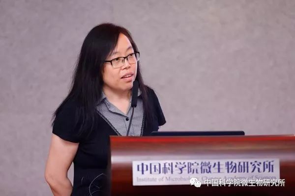蕾,中国科学院办公厅副主任王树志,中国科学院办公厅网信处处长陈明奇