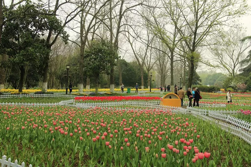 董旭光调研运城植物园建设项目