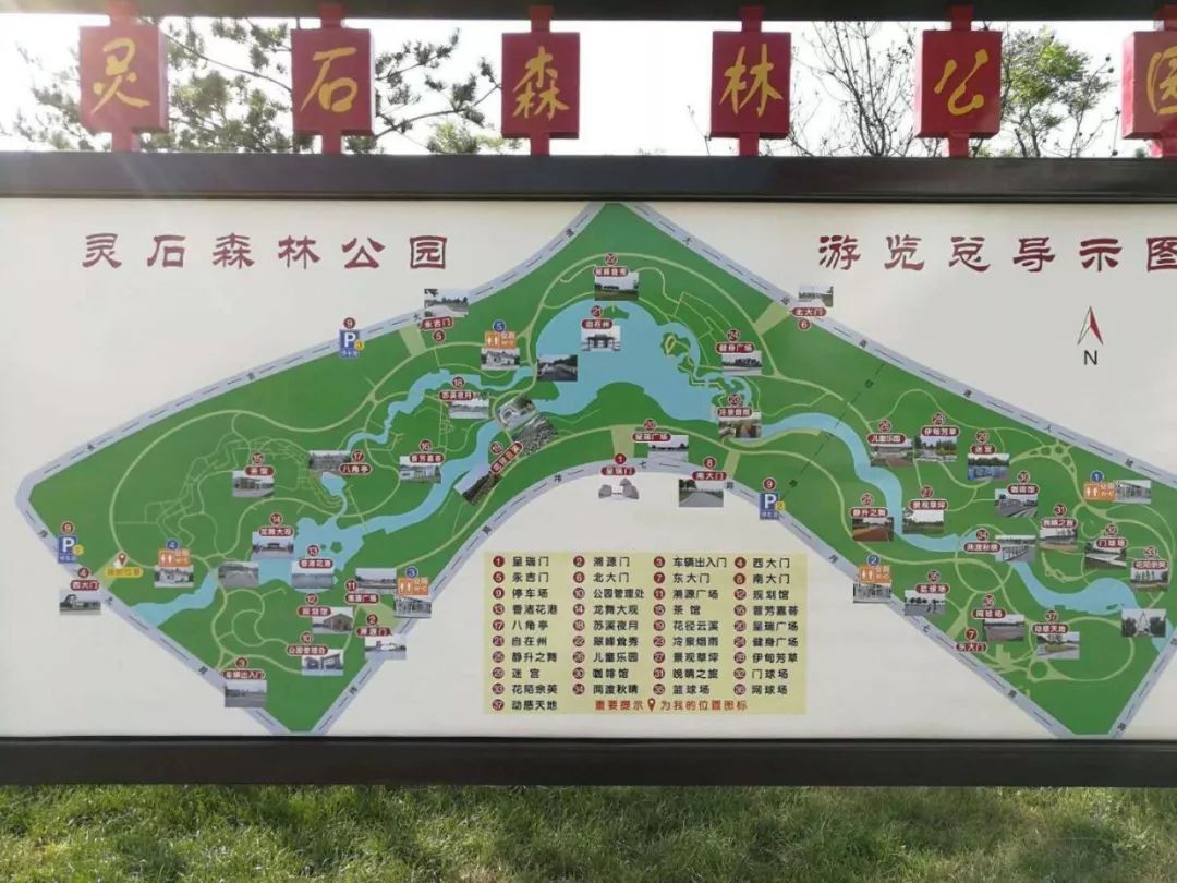 消暑晚会/6月22,23日在森林公园特别定制_灵石