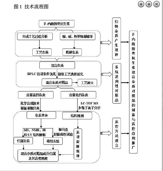 抗生素生产工艺流程图图片