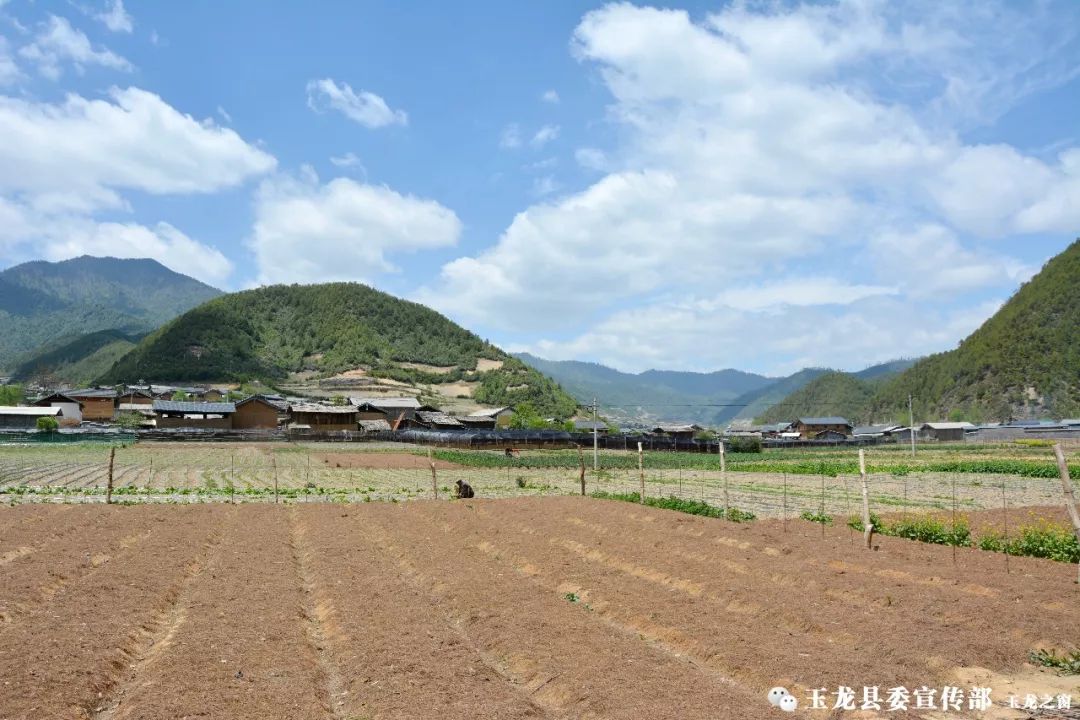 玉龙县鲁甸乡杵峰图片