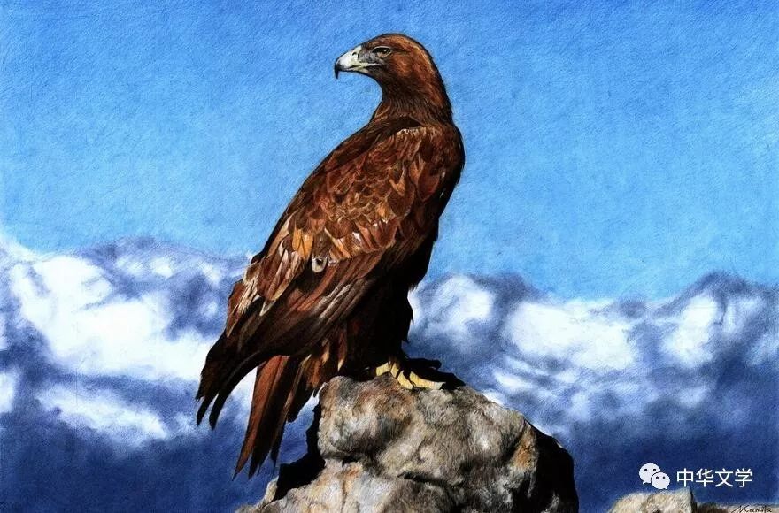 静如芷水作者:大漠孤鹰没有了你,这个世界不再晃动我也不再晃动一切