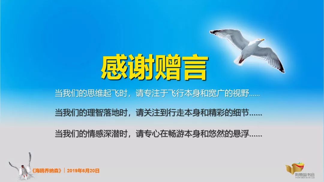 阅读回顾丨海鸥乔纳森读书会思维与情感的双重升华