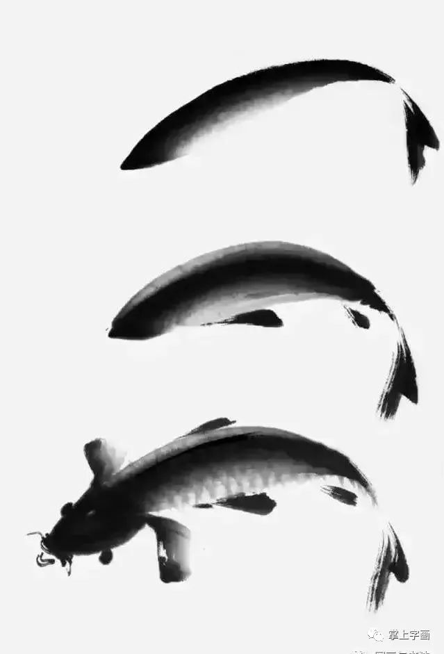 写意鲤鱼的画法