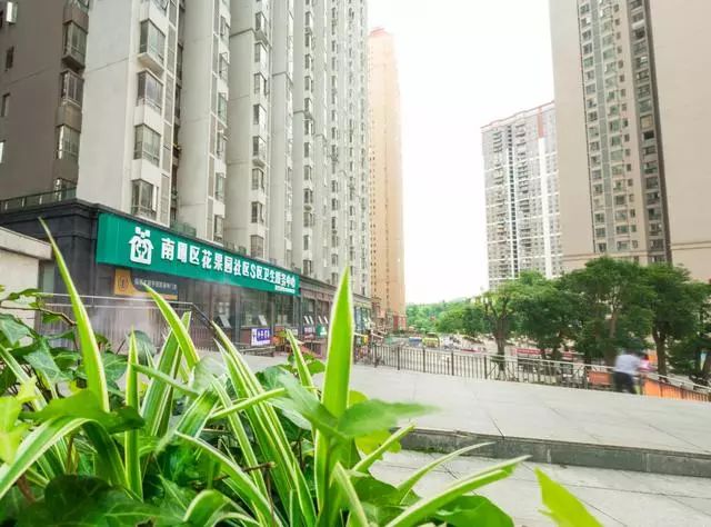 花果园s区社区健康大讲堂每周三约会不见不散