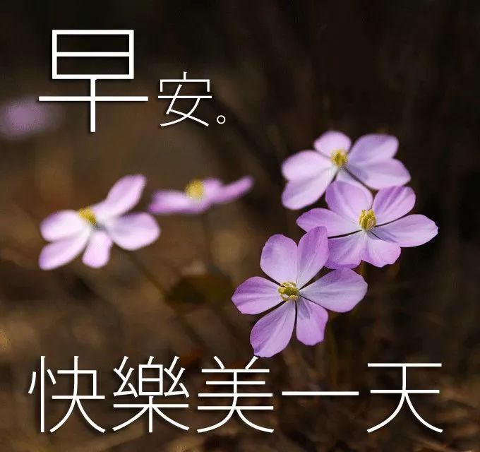 早晨好图片群发精选早上好祝福语表情套图