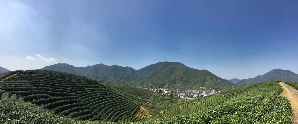 【洞天福地】6月30日 遊杭州靈山幻境,逛龍塢茶村,休閒一日遊