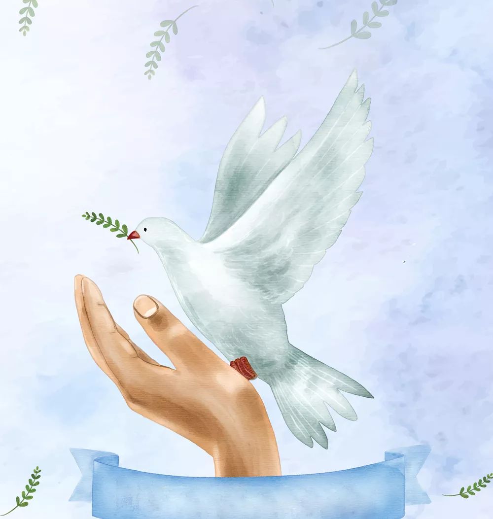 经典诵读莱芜区花园学校张红永生的和平鸽