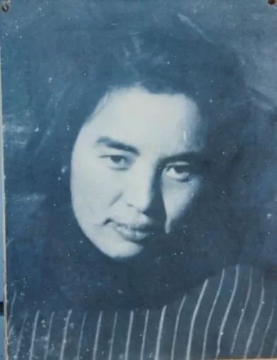 郑少仪(时名李欣),由泰州城获悉围攻郭村的国民党军向西调动等情报,和