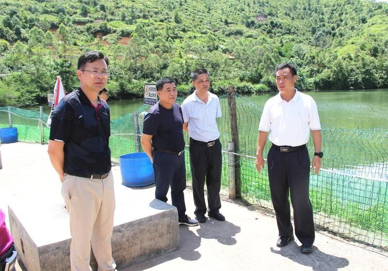 刘振林到紫城镇检查督导防灾减灾和应急预案(挂图作战)落实工作_紫金