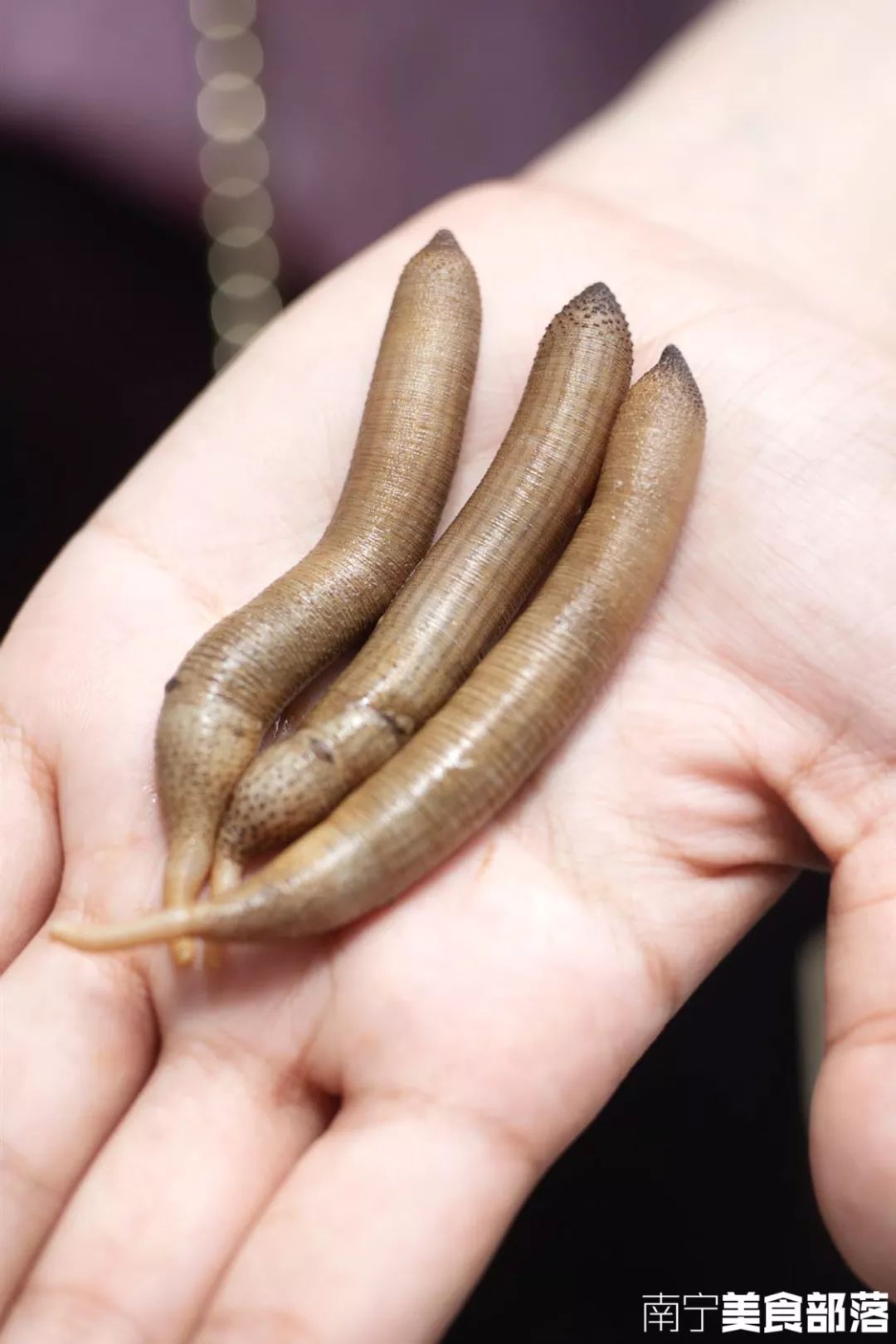 真香警告!安湖路一碗满是泥虫子的粥,评价都是"鲜鲜鲜"