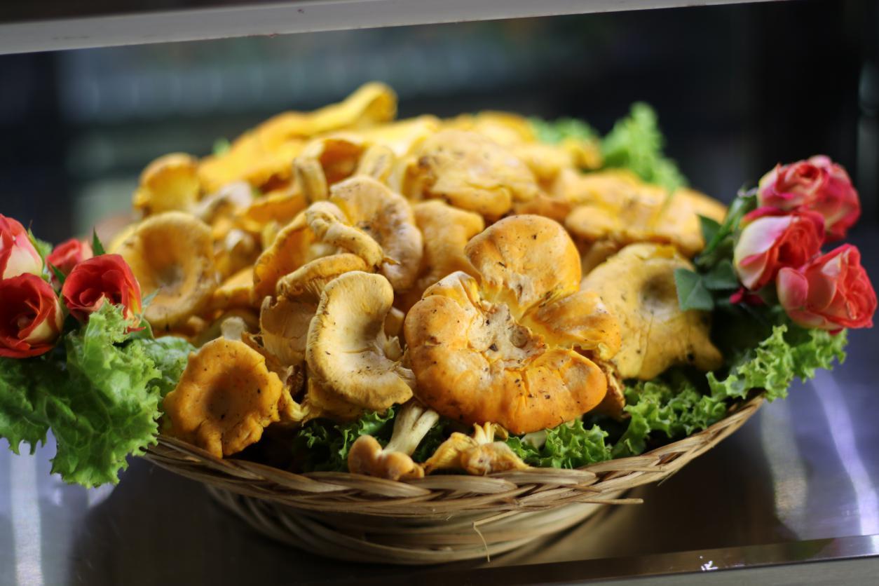 大滇园企业第十届野生菌美食节于6月14日正式开幕啦!_云南