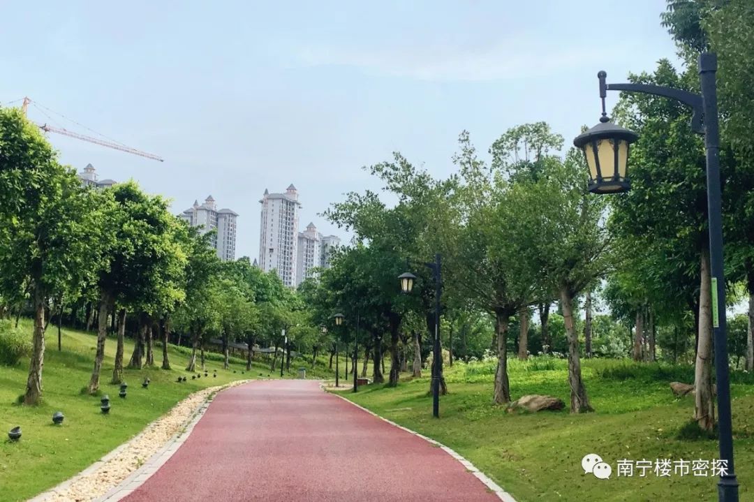 在滨江公园内就可以看到项目一期和二期工程塔机,出了小区门口就是