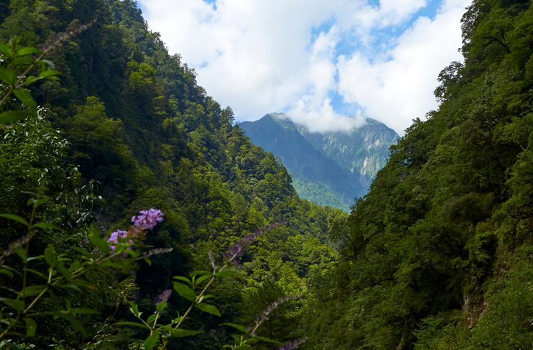 平武小河沟自然保护区图片