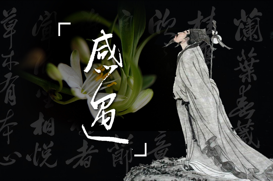 唐诗三百首开卷之作感遇其一朗读赏析